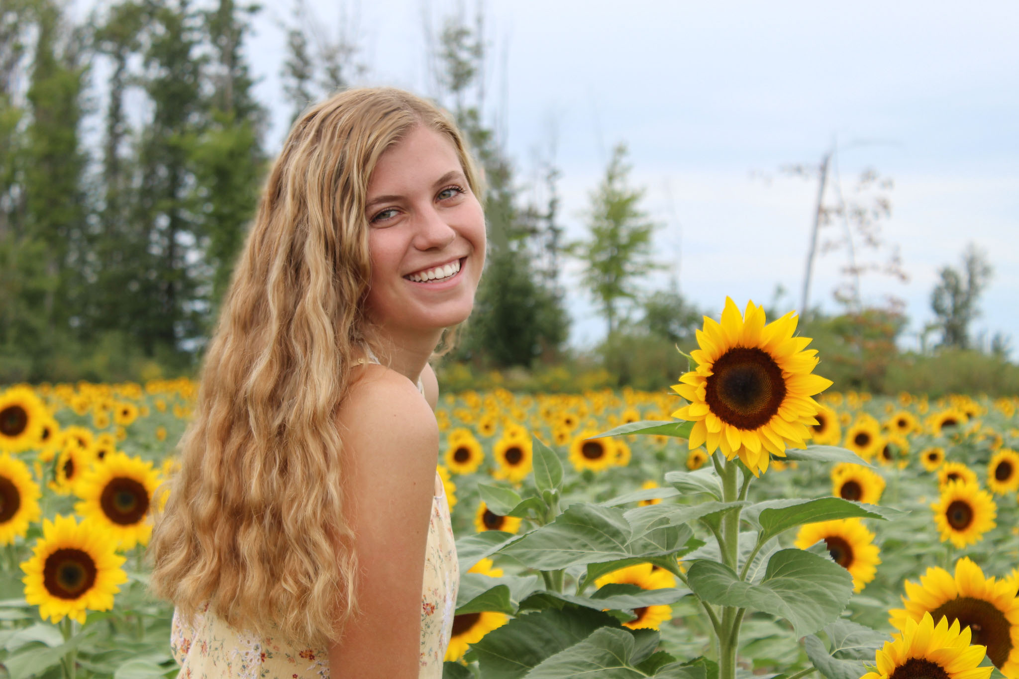 girl with sunflower 3